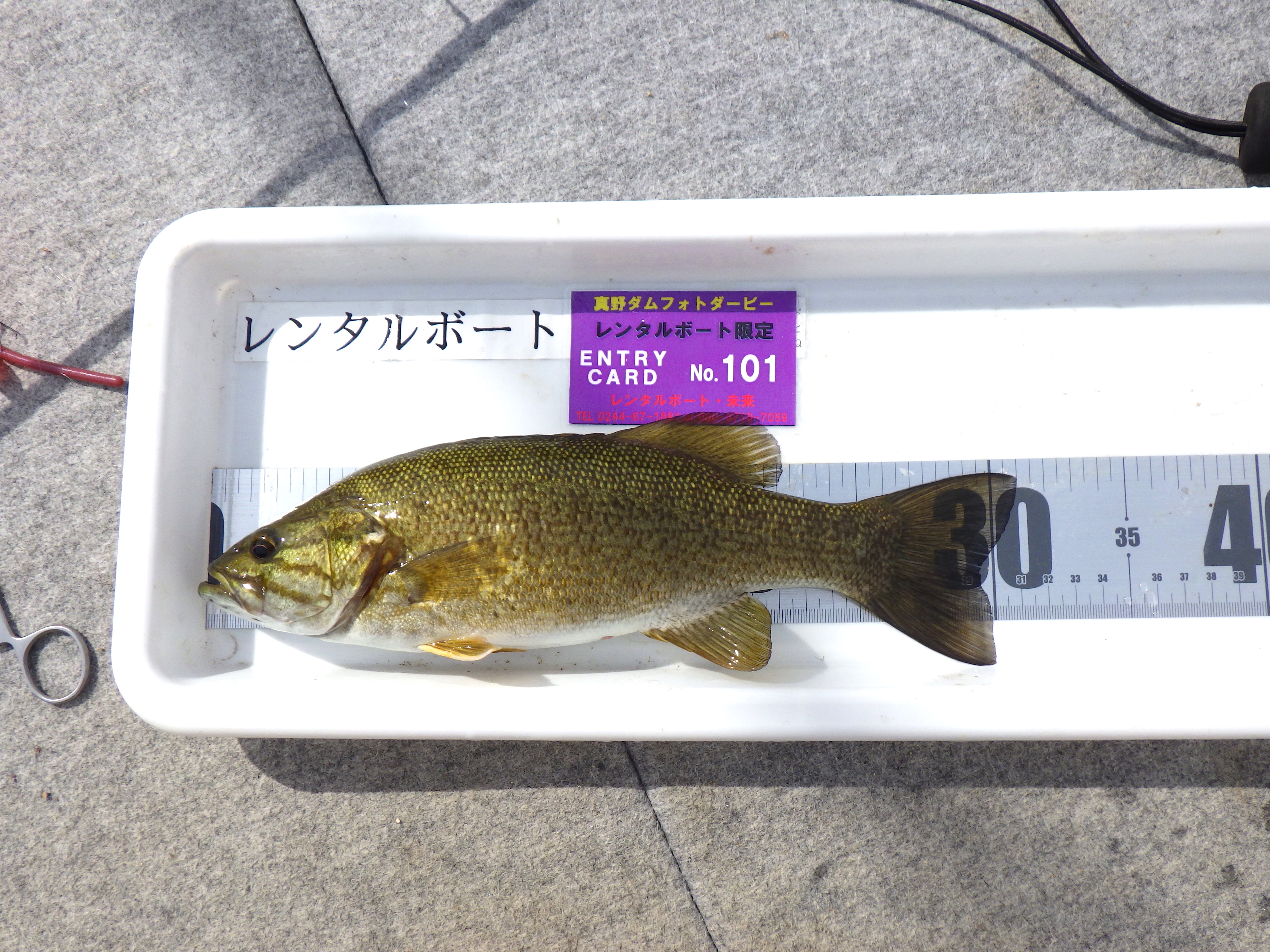 2019年5月6日　真野ダム『新元号フィッシュ』